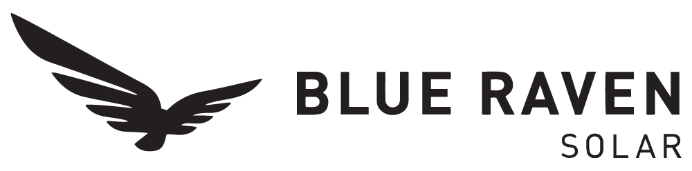 trusted-blue-raven-logo